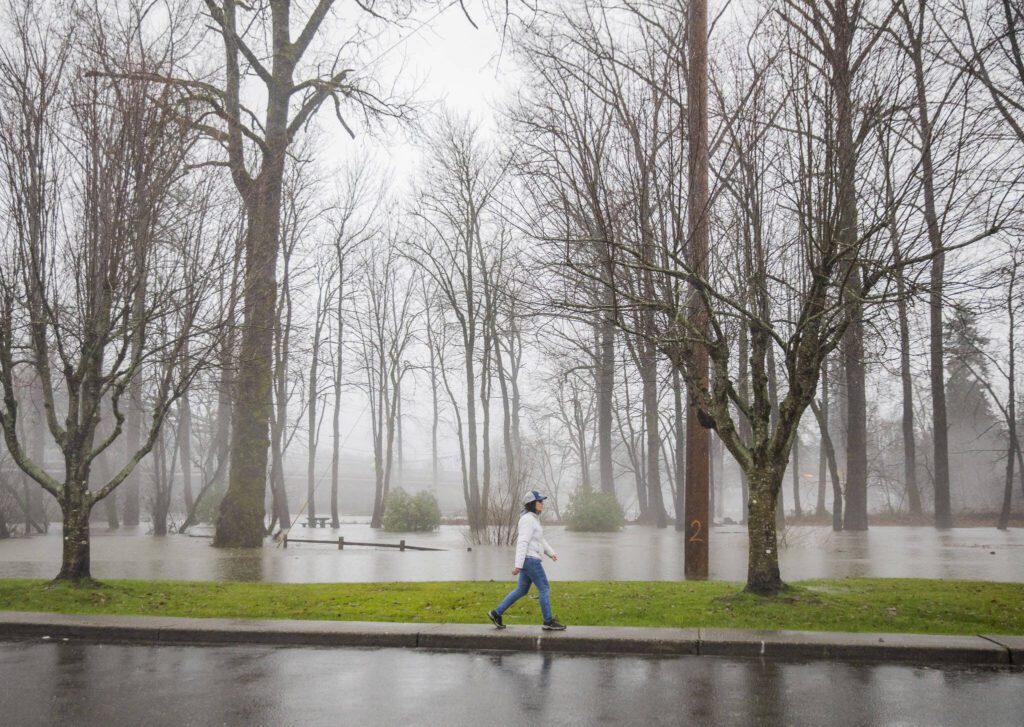 A woman walks past a flooded River Park on Tuesday, Dec. 5, 2023 in Sultan, Washington. (Olivia Vanni / The Herald)
