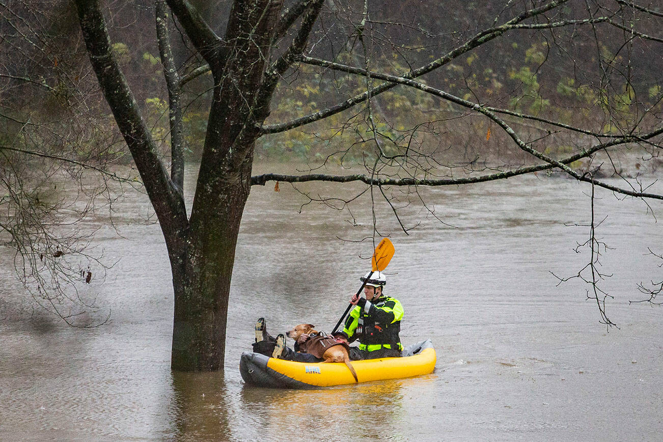 A Snohomish Regional Fire & Rescue first responder paddles to shore with a man and his dog from a portion of Al Borlin Park where they were stranded with three other people on Tuesday, Dec. 5, 2023 in Monroe, Washington. (Olivia Vanni / The Herald)