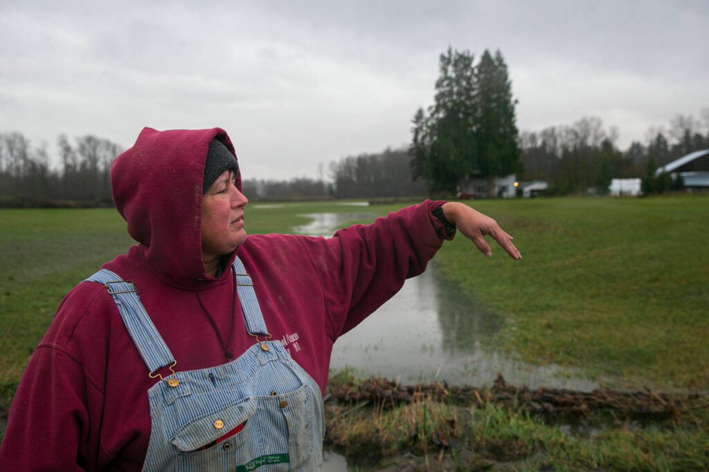 Mary Fuentes, who grew up and still lives in Silvana, turns towards her property and explains the extent of the flooding across her land on Thursday, Dec. 7, 2023, after extensive flooding from the Stillaguamish River in Silvana, Washington. (Ryan Berry / The Herald)
