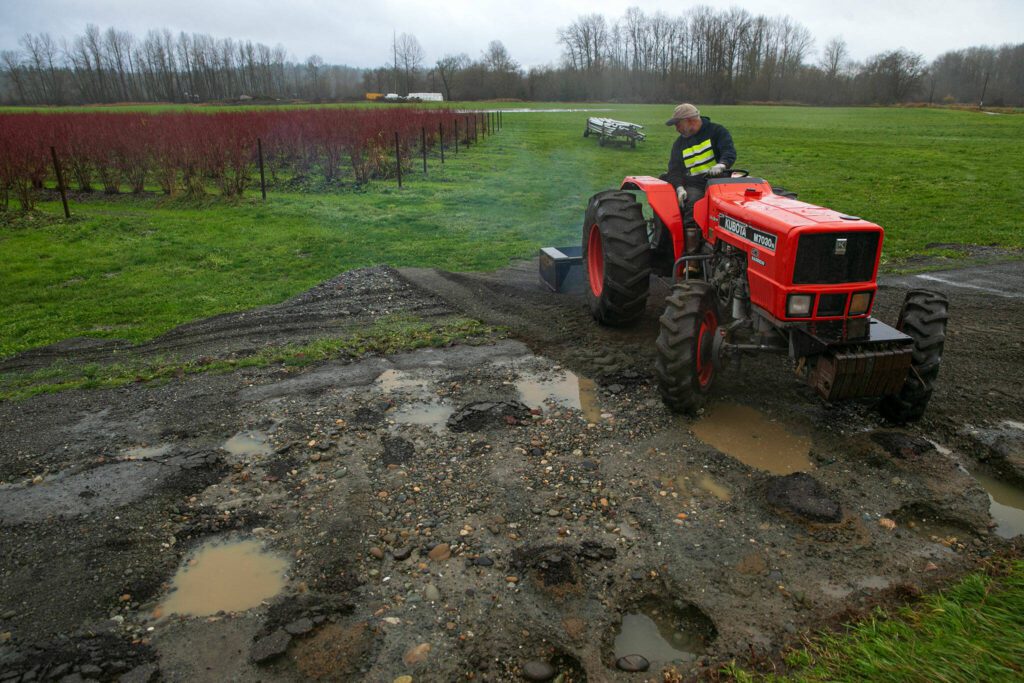 Spencer Fuentes quickly fills in part of his driveway that was washed out during flooding earlier in the week on Thursday, Dec. 7, 2023, at Hazel Blue Acres in Silvana, Washington. (Ryan Berry / The Herald)
