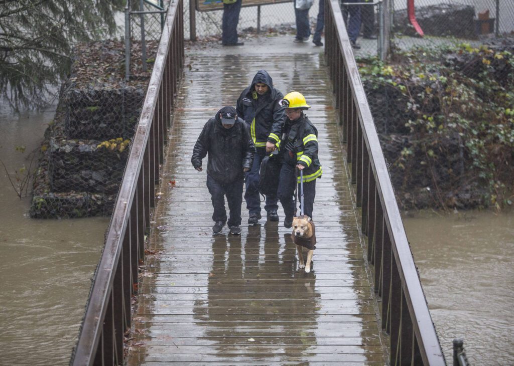 District 4 firefighters walk a man and his dog across a bridge to be checked out by medics after being rescued from a flooded portion of Al Borlin Park on Tuesday, Dec. 5, 2023 in Monroe, Washington. (Olivia Vanni / The Herald)

