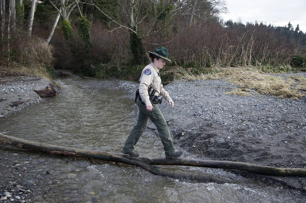 Snohomish County Parks senior park ranger Chelsea Kapica walks across a fallen tree limb as she patrols the beach at Picnic Point Park on Thursday, Jan. 14, 2020 in Edmonds, Washington. (Andy Bronson / The Herald)
