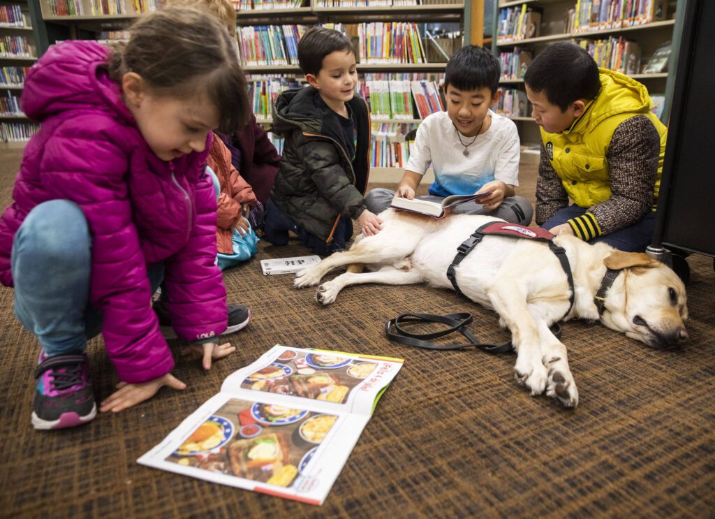 A group of children read aloud to Strummer during Tails and Tales at the Mukilteo Library on Wednesday, Jan. 17, 2024 in Mukilteo, Washington. (Olivia Vanni / The Herald)
