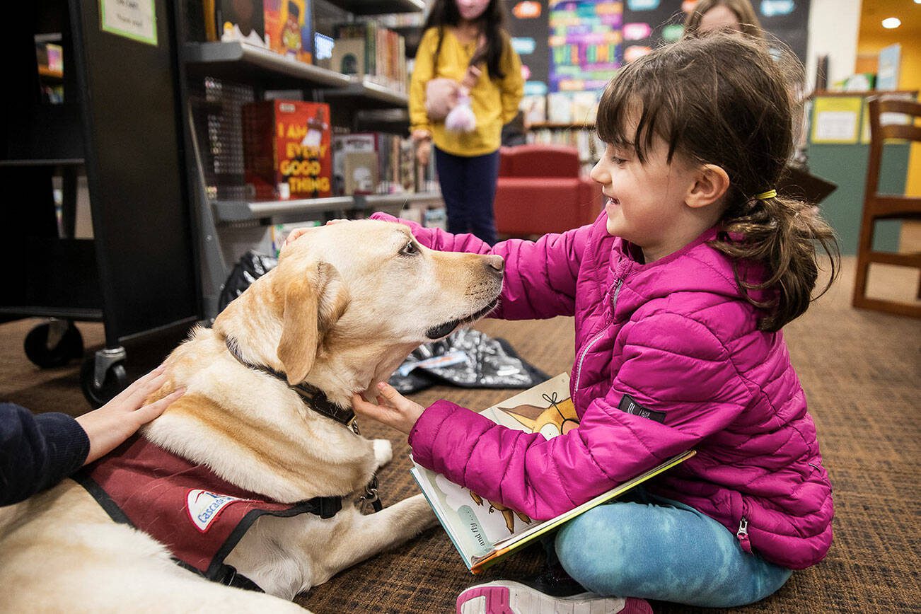 Noemie Leibov, 8, pauses reading aloud to pet Strummer during Tails and Tales at the Mukilteo Library on Wednesday, Jan. 17, 2024 in Mukilteo, Washington. (Olivia Vanni / The Herald)