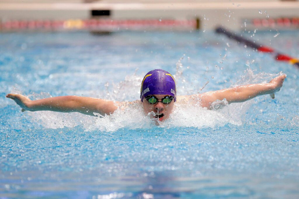 Lake Stevens’ Camden Blevins-Mohr swims in the the 100-yard butterfly at the state swim and dive championships on Feb. 18, 2023, at the King County Aquatic Center in Federal Way. (Ryan Berry / The Herald)

