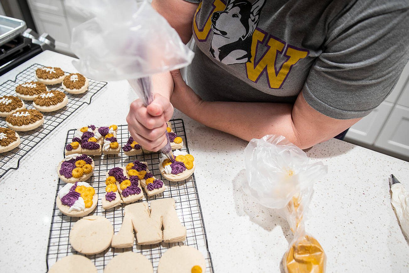 Andrea Ancich frosts University of Washington themed cookies for her flight to the College Football Playoff National Championship in Texas on Thursday, Jan. 4, 2024 in Marysville, Washington. (Olivia Vanni / The Herald)