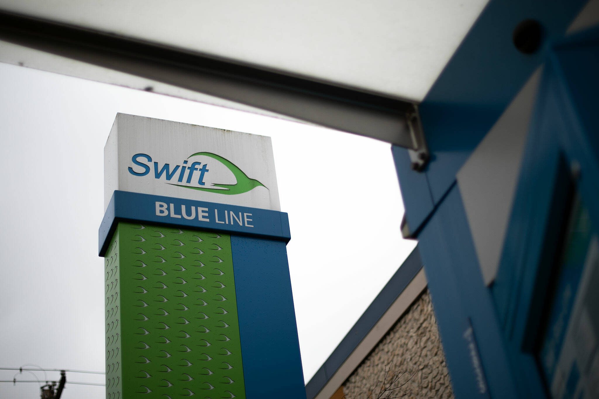 The northbound Swift Blue Line stop on Pacific is photographed Thursday, Jan. 11, 2024, in Everett, Washington. (Ryan Berry / The Herald)