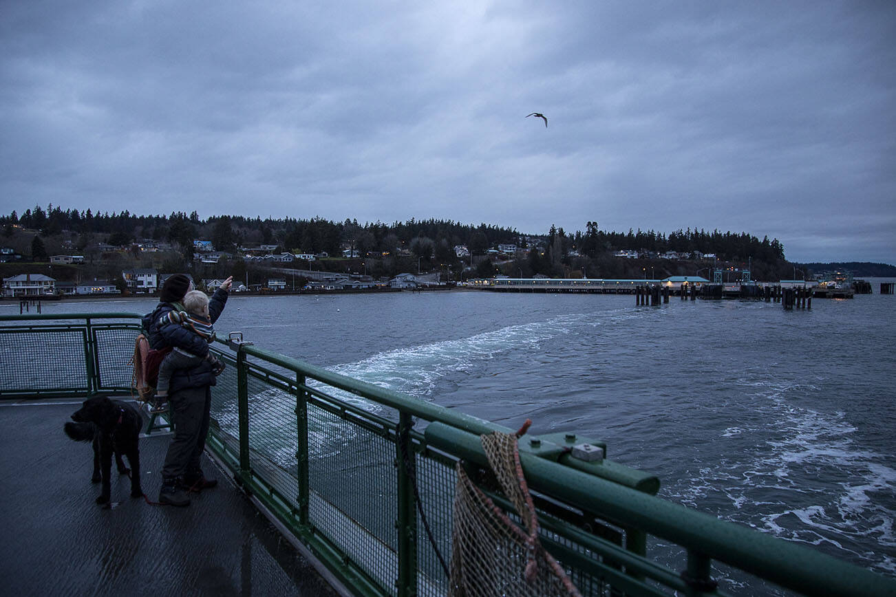 A person and child watch seagulls on the Mukilteo-Clinton ferry in Washington on Thursday, Jan. 12, 2023. (Annie Barker / The Herald)