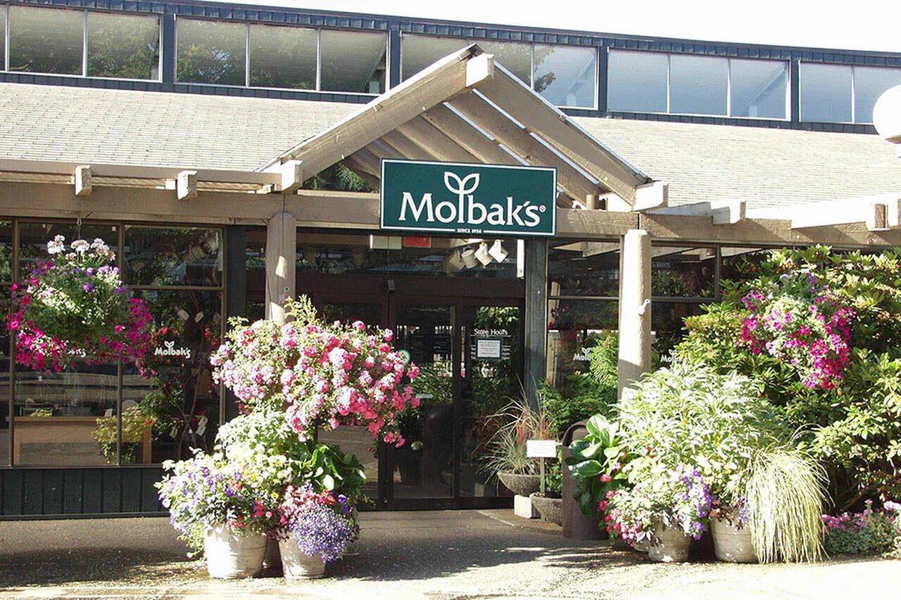 Molbak’s Garden + Home in Woodinville, Washington will close on Jan. 28. (Photo courtesy of Molbak’s)