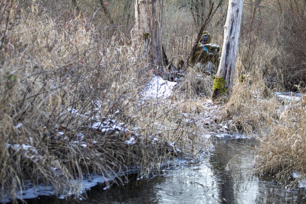 A figure known as the Lake Stevens Bigfoot-Moss Man-Sasquatch sits among trees and along the Stevens Creek stream on Lundeen Parkway in Lake Stevens. (Annie Barker / The Herald)
