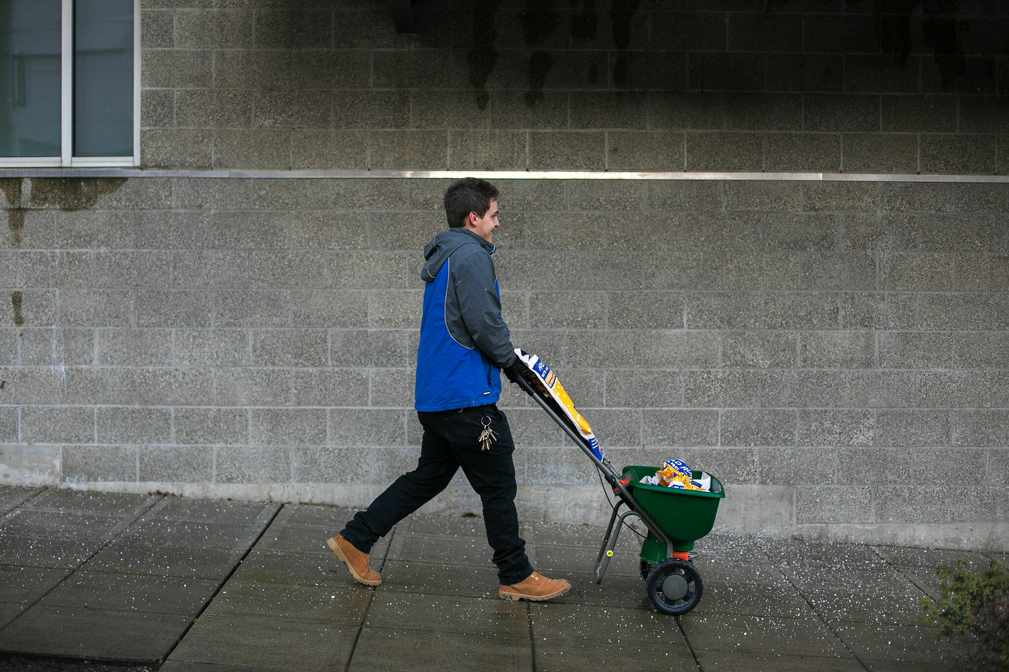 Ryan Whittaker from Skotdal Real Estate lays down ice melt in front of a Hoyt Avenue apartment complex before the arrival of an evening snowfall Thursday, Jan. 11, 2024, in downtown Everett, Washington. (Ryan Berry / The Herald)