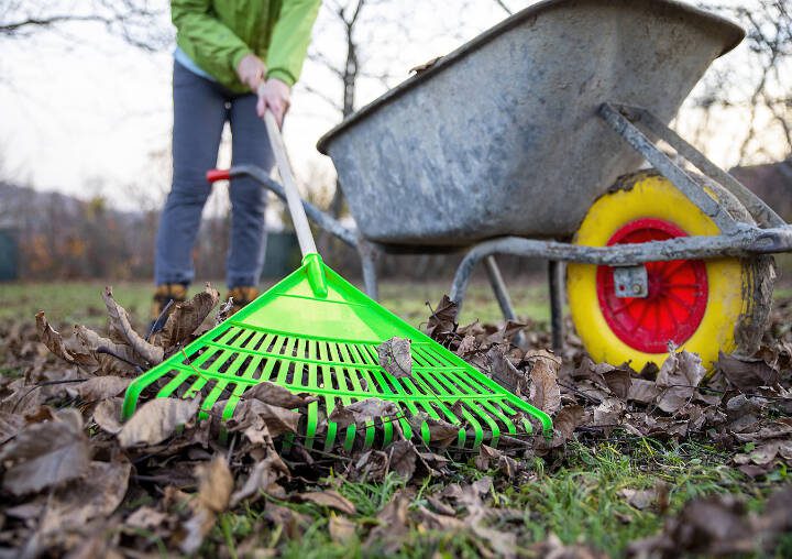 My OCD side likes not one fallen leaf, twig or cone distracting from my immaculately mulched slice of heaven. (Getty Images)