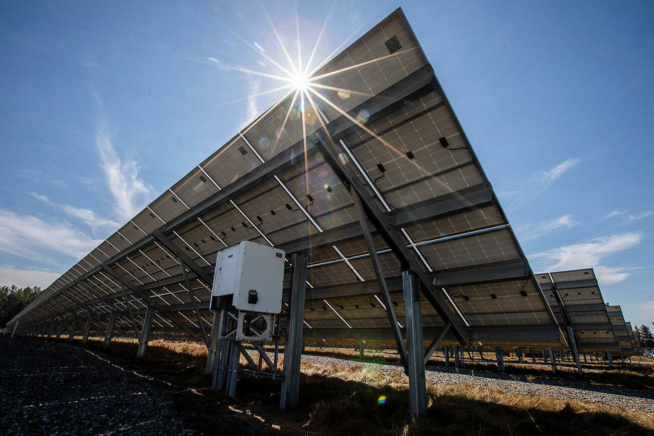 The sun shines on the PUD’s microgrid on Thursday, Aug. 17, 2023 in Arlington, Washington. (Olivia Vanni / The Herald)