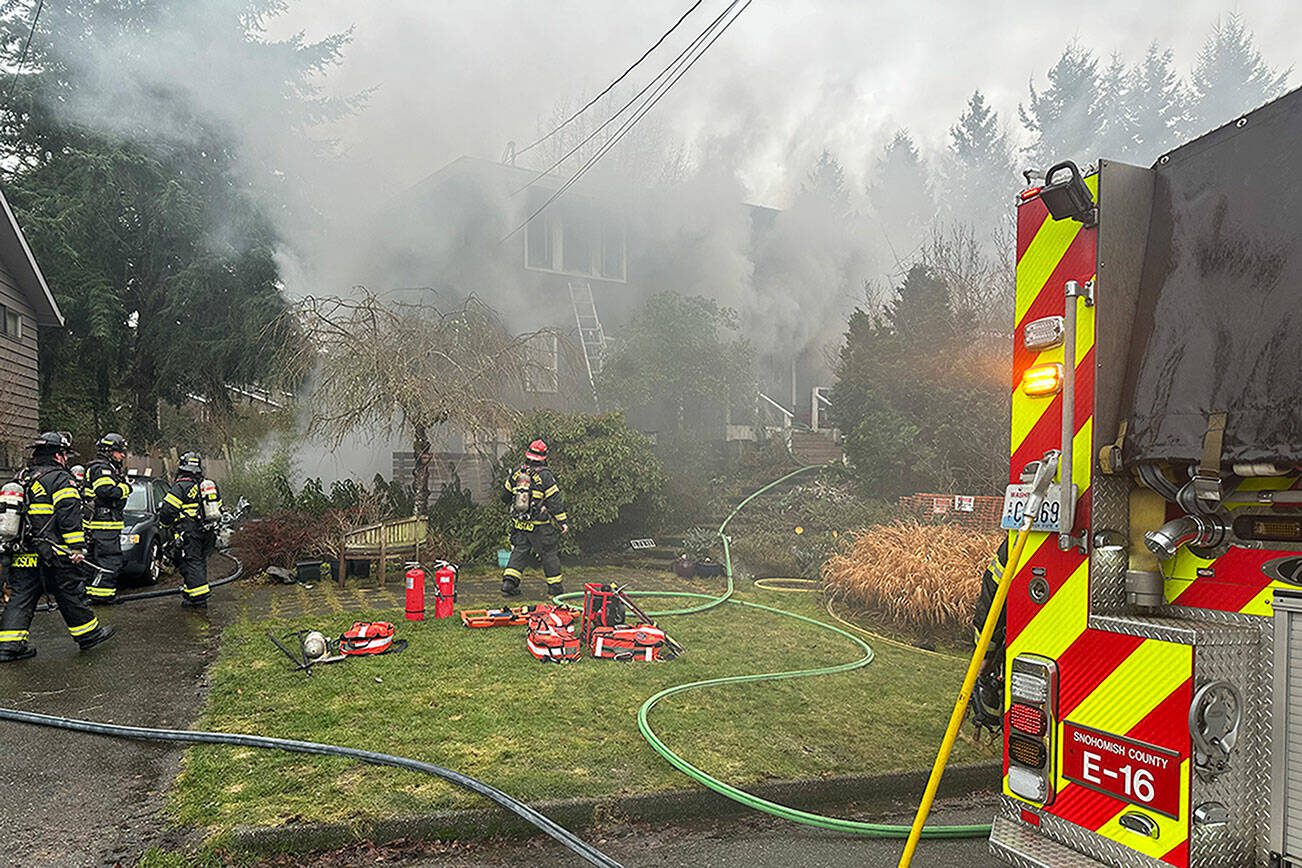 A house fire on Jan. 19 in the Meadowdale neighborhood in Edmonds, Washington killed two dogs and four cats. (South County Fire)
