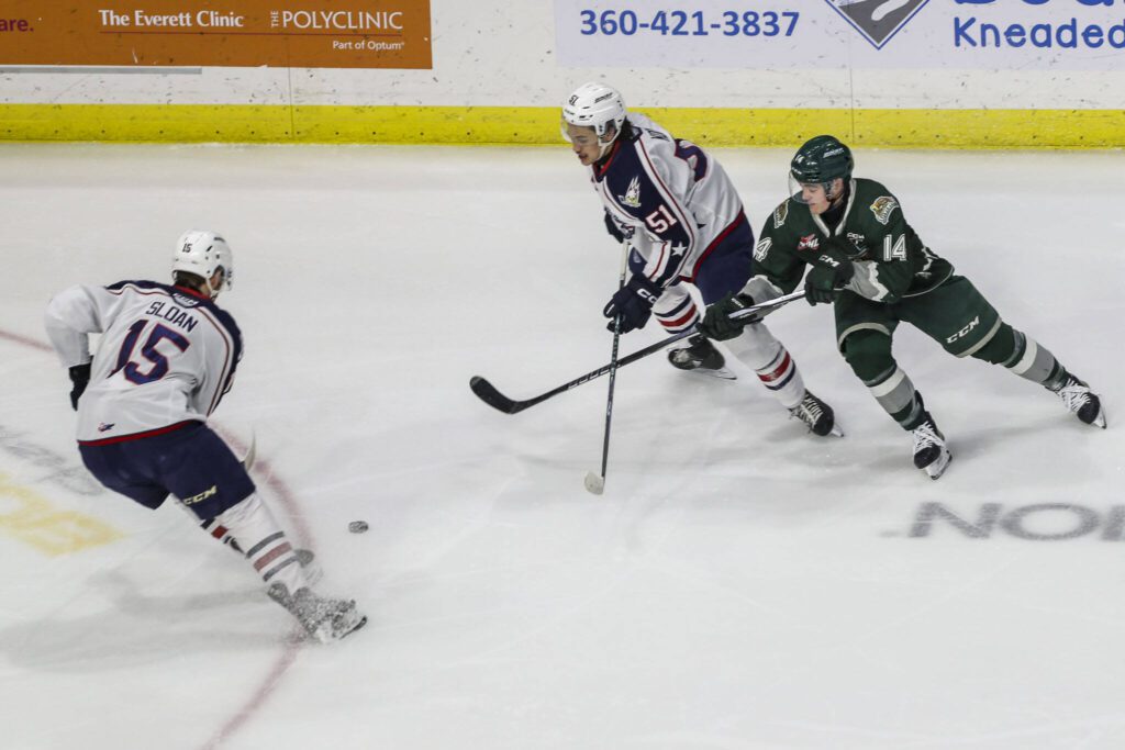 Silvertips’ Austin Roest (14) fights for the puck during a game between the Everett Silvertips and Tri-City Americans at the Angel of the Winds Arena on Sunday, Jan. 21, 2024. The Silvertips won, 5-3. (Annie Barker / The Herald)
