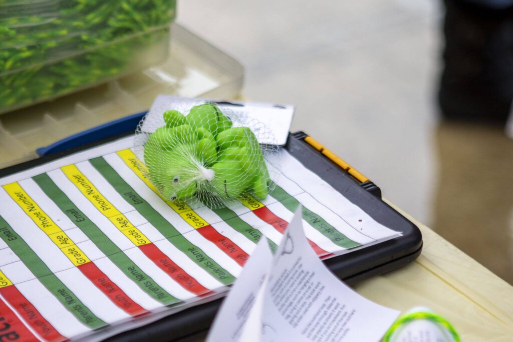 Rubber frogs were handed out during the final annual GroundFrog Day event at the Carnegie building on Saturday, Jan. 27, 2024. (Annie Barker / The Herald)
