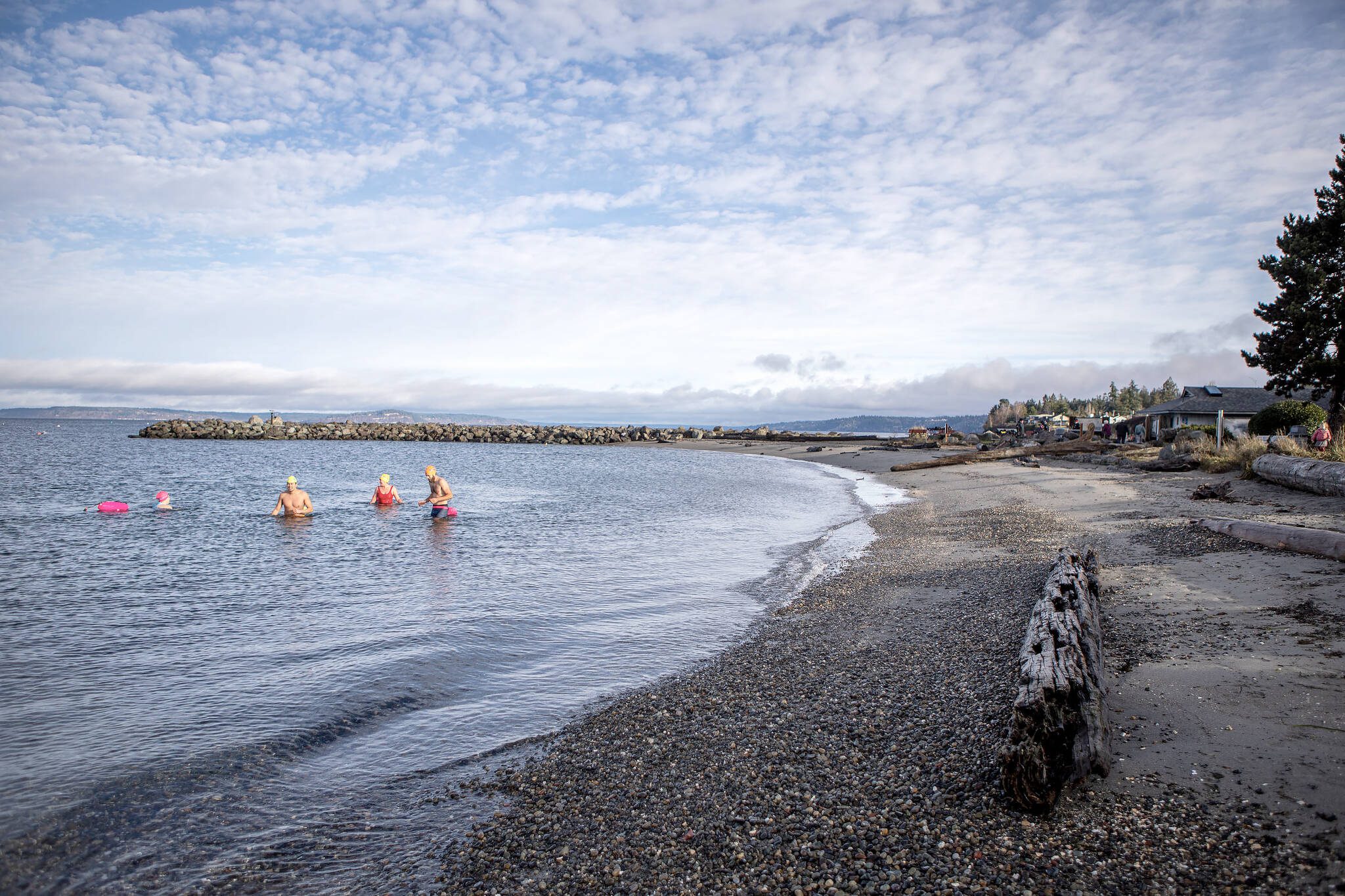 People swim at Brackett's Landing near the Port of Edmonds on Sunday, Jan. 28, 2024 in Edmonds, Washington. (Annie Barker / The Herald)