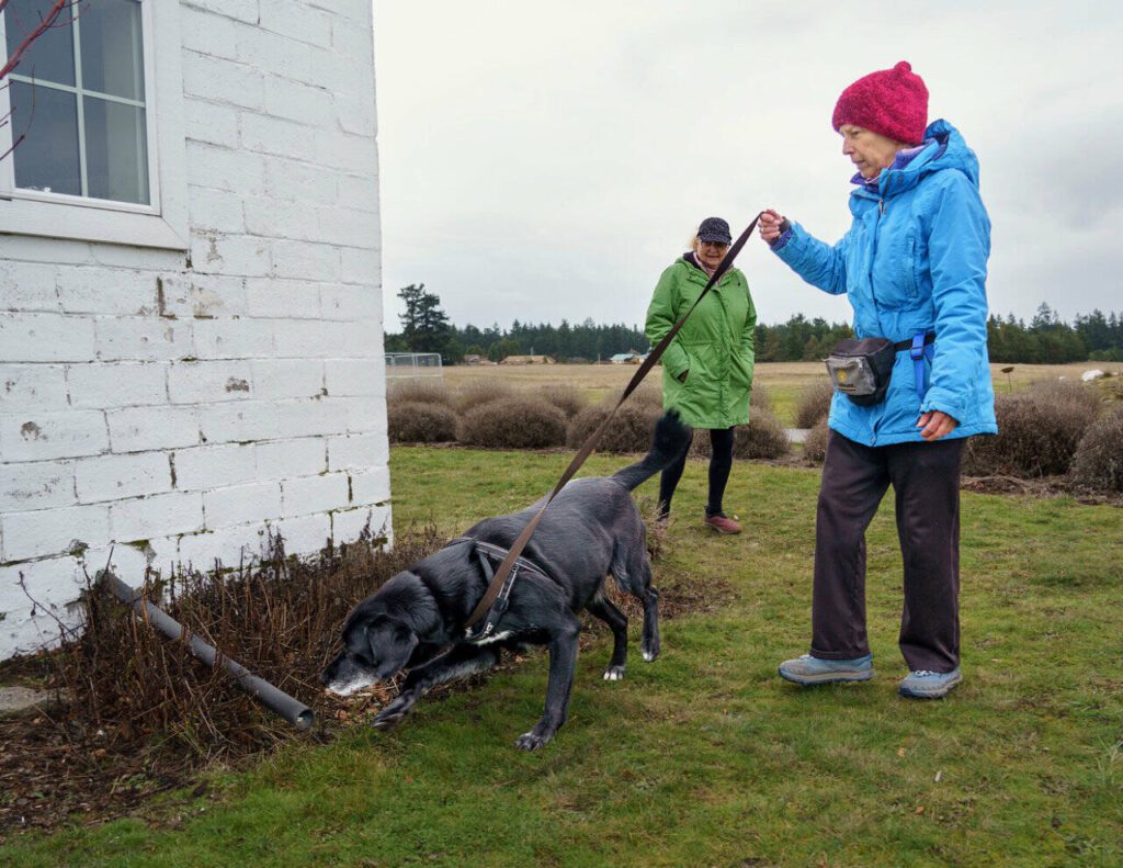 Georgia Edwards, in background, comments on Susan Thorsen’s ability to recognize a signal from her dog, Bohdi. (Photo by David Welton)
