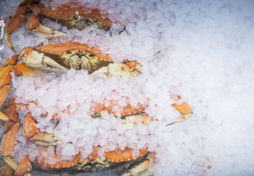 Earth and Ocean sources products such as Dungeness crab from local waters whenever possible. (Olivia Vanni / The Herald)
