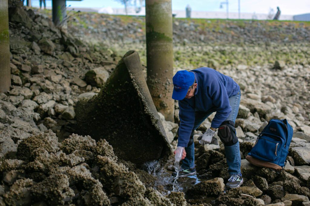 Claudia Douglass, a retired biologist, flushes out a bottle before collecting a sample of stormwater draining into the ocean beneath the Port of Everett waterfront Friday, Feb. 16, 2024, in Everett, Washington. (Ryan Berry / The Herald)
