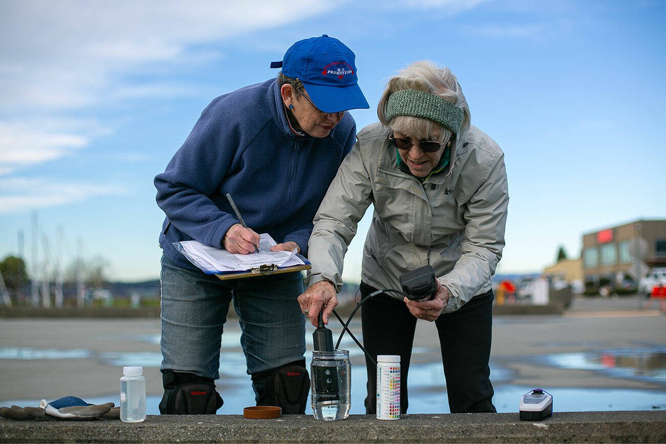 Claudia Douglass and Lynn Lichtenberg, volunteers with the Salish Sea Stormwater Monitoring Project, use a turbidity meter to measure the clarity of stormwater runoff at the Port of Everett waterfront Friday, Feb. 16, 2024, in Everett, Washington. (Ryan Berry / The Herald)