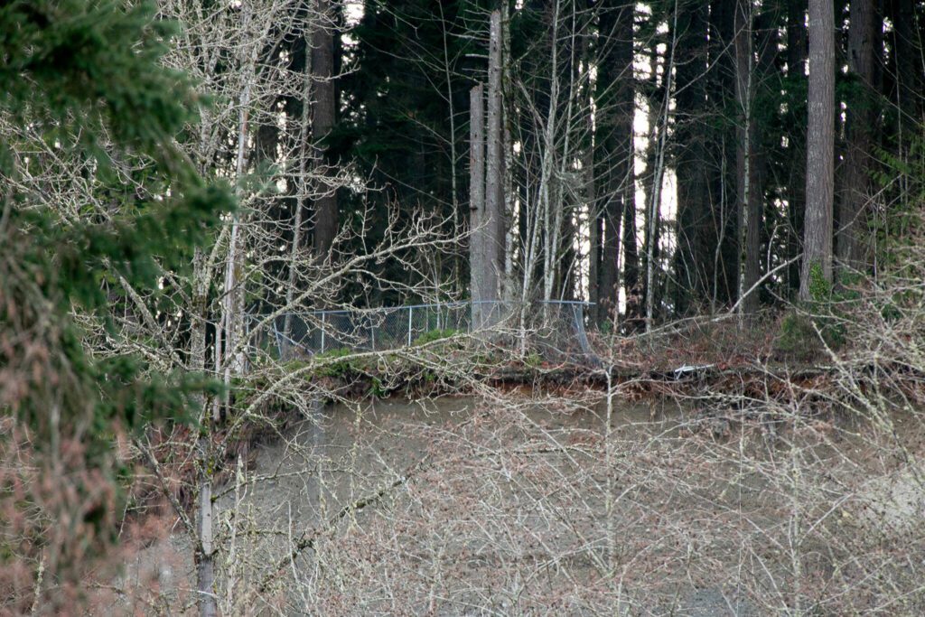 A cliff above the Pilchuck River shows signs of erosion Friday, Feb. 9, 2024, in Lake Stevens, Washington. Lake Connor Park sits atop the cliff. (Ryan Berry / The Herald)
