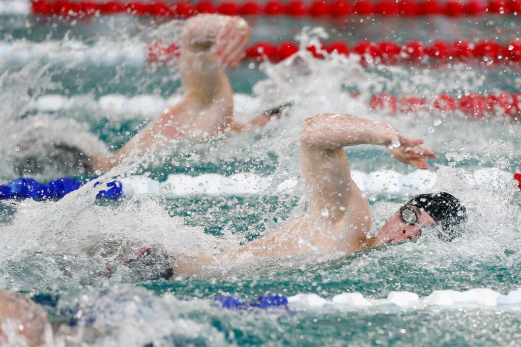 Lake Stevens sophomore Samuel Lamb swims to a victory in the 100-yard freestyle during the Class 4A District 1 swim and dive championships Saturday at the Snohomish Aquatic Center in Snohomish. (Ryan Berry / The Herald)
