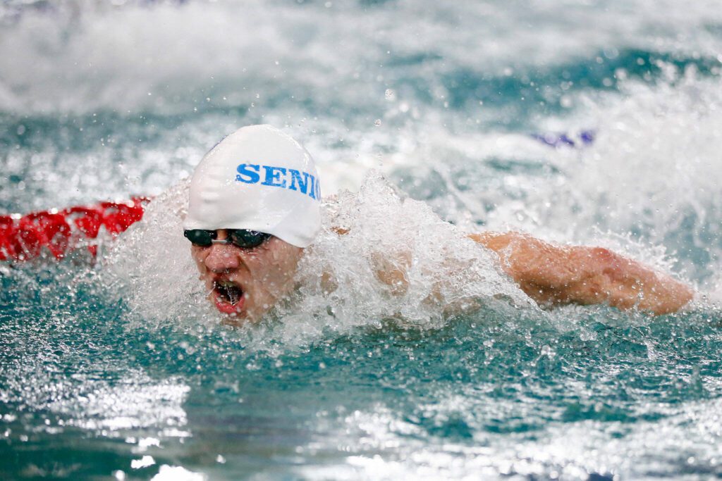 A Shorewood swimmer swims the butterfly during the 200 yard medley relay during the Class 3A District 1 swim and dive meet Saturday at the Snohomish Aquatic Center in Snohomish. (Ryan Berry / The Herald)
