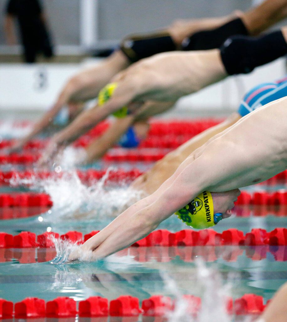 Swimmers dive in for the 50 yard freestyle final during the Class 3A District 1 swim and dive meet Saturday at the Snohomish Aquatic Center in Snohomish. (Ryan Berry / The Herald)
