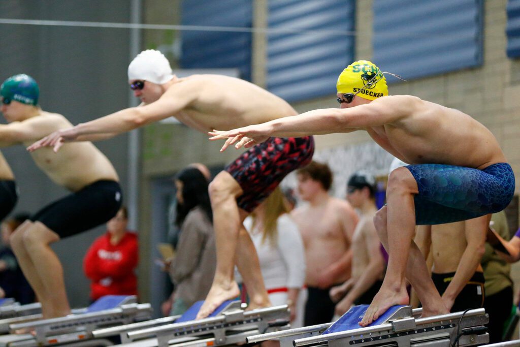 Swimmers wait to dive for their lap in the 200 yard freestyle relay during the Class 3A District 1 swim and dive meet Saturday at the Snohomish Aquatic Center in Snohomish. (Ryan Berry / The Herald)
