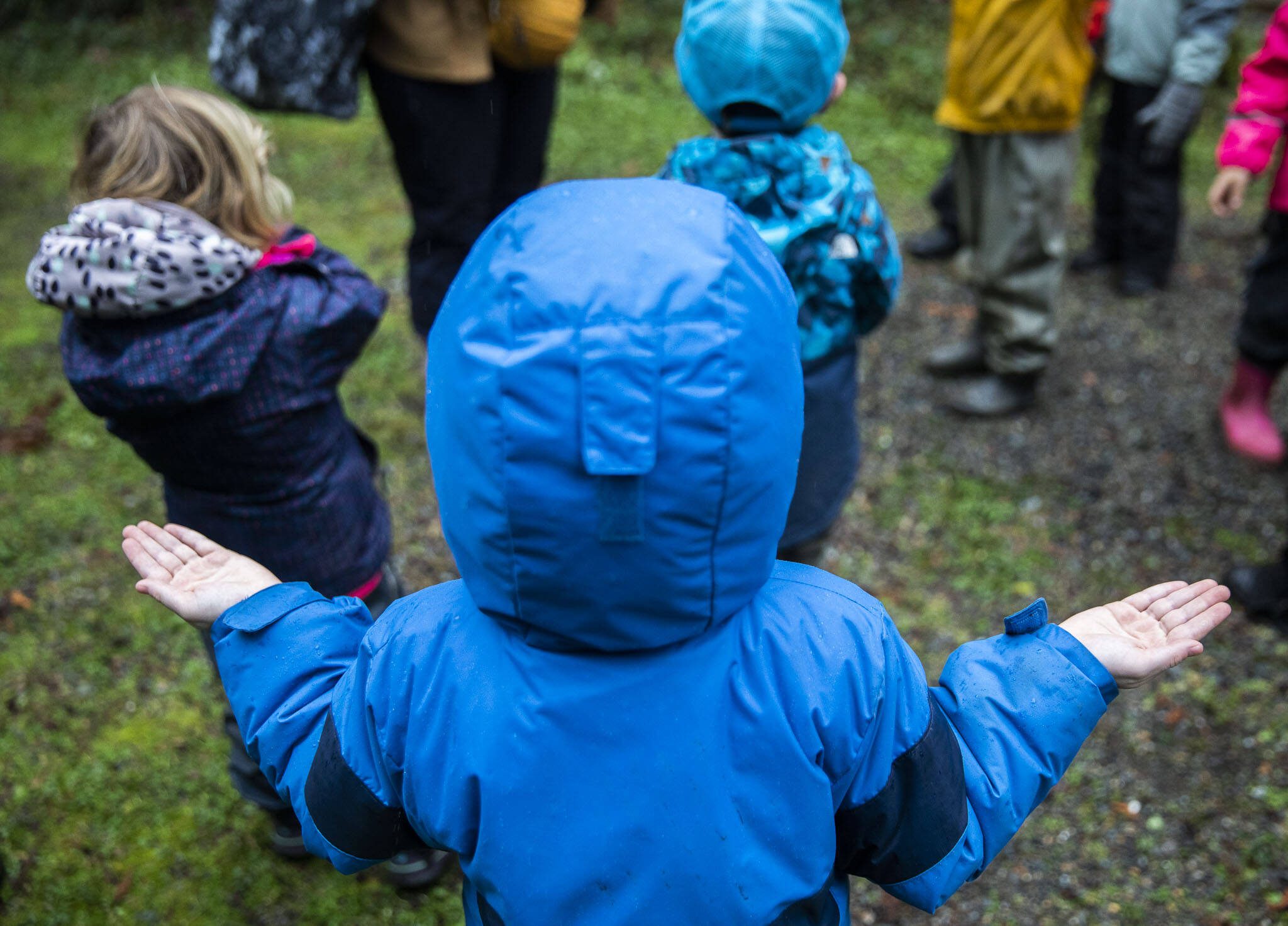 A student reaches put their hands to feel raindrops as it begins to pour on Monday, Jan. 22, 2024 in Camano Island, Washington. (Olivia Vanni / The Herald)