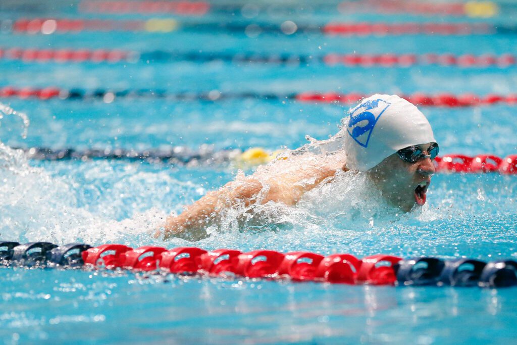 Shorewood senior Larson Buchholz swims in the 100 yard butterfly consolation race during the WIAA 3A Boys Swim and Dive Championships on Saturday, Feb. 17, 2024, at the Weyerhaeuser King County Aquatic Center in Federal Way, Washington. (Ryan Berry / The Herald)
