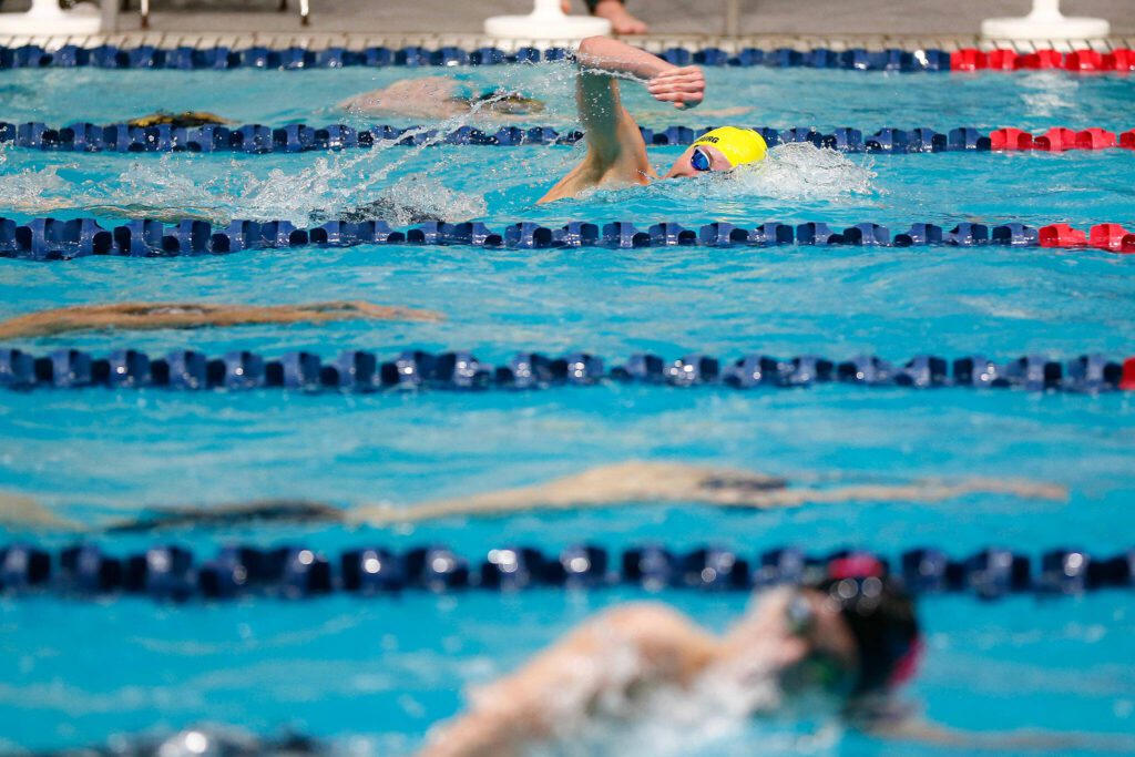 Shorecrest sophomore Zander Muilenburg, top, swims in the 500 yard freestyle consolation during the WIAA 3A Boys Swim and Dive Championships on Saturday, Feb. 17, 2024, at the Weyerhaeuser King County Aquatic Center in Federal Way, Washington. (Ryan Berry / The Herald)

