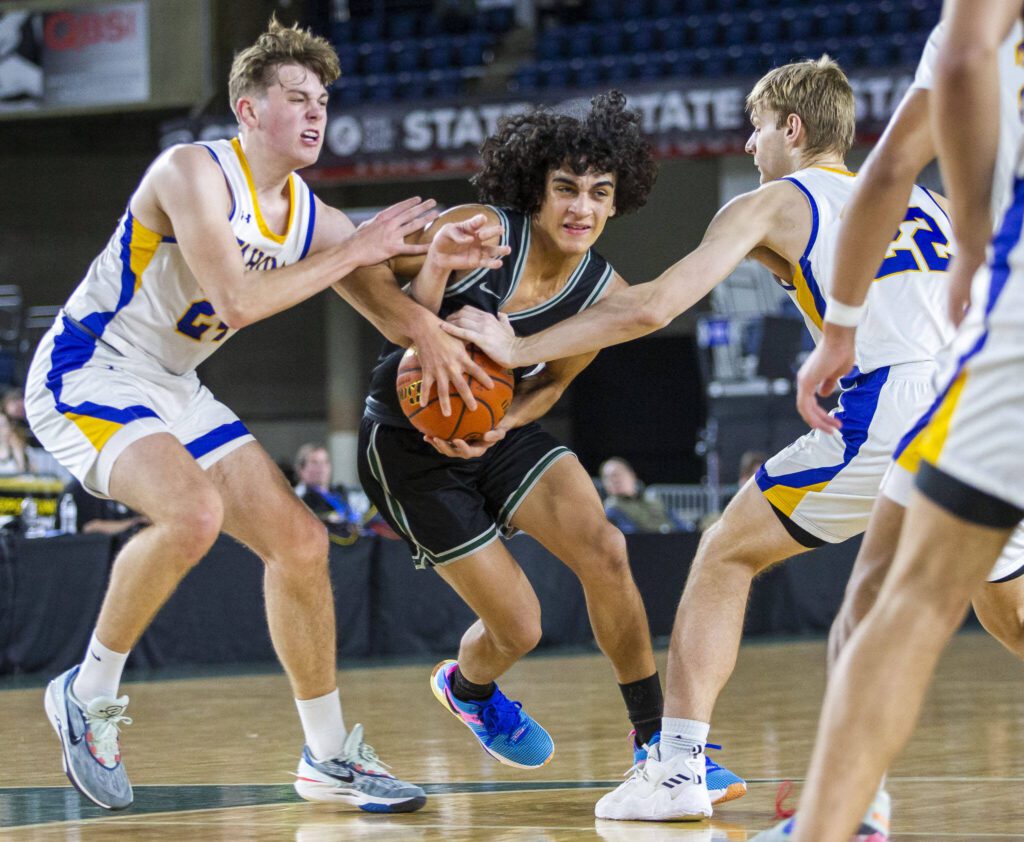 Jackson’s Seamus Williams tries to maneuver through outstretched arms during the 4A boys state basketball game against Tahoma on Wednesday, Feb. 28, 2024 in Tacoma, Washington. (Olivia Vanni / The Herald)
