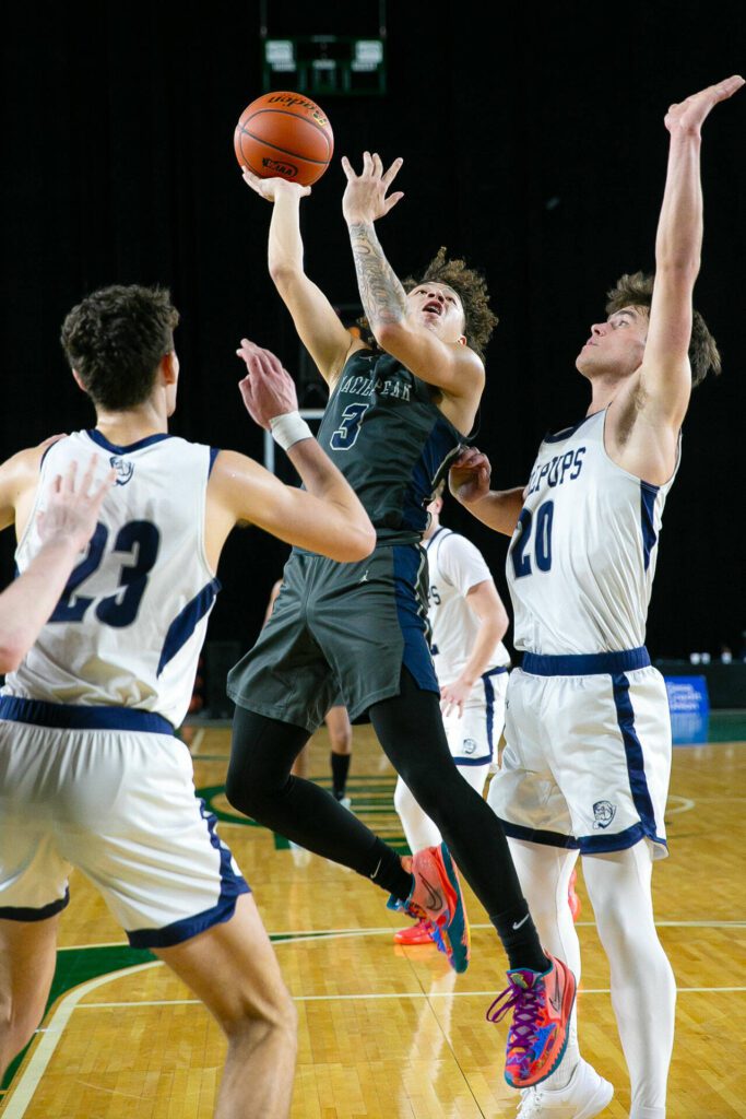 Glacier Peak senior Isaiah Cuellar takes a shot up close during a WIAA 4A Boys Basketball quarterfinal against Gonzaga Prep on Thursday, Feb. 29, 2024, at the Tacoma Dome in Tacoma, Washington. (Ryan Berry / The Herald)
