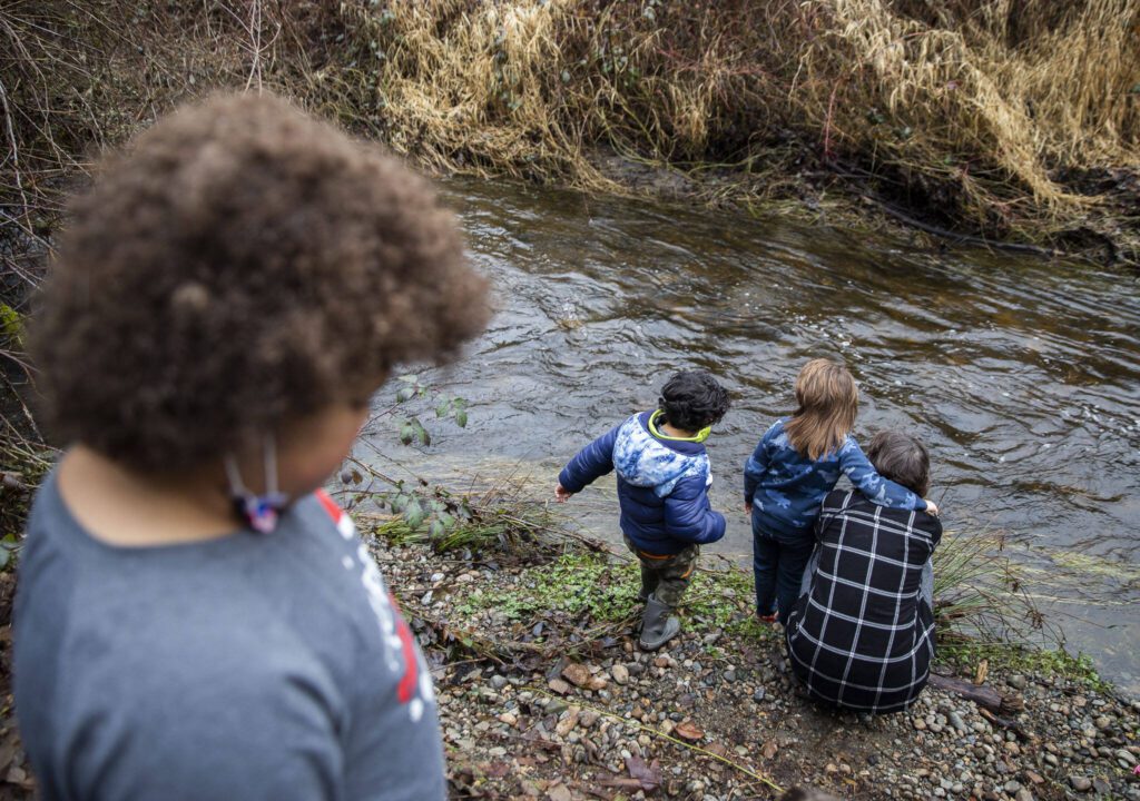 Students explore a creek that runs through Clearwater School’s property with one of their supervisors on Thursday, Jan. 25, 2024 in Bothell, Washington. (Olivia Vanni / The Herald)

