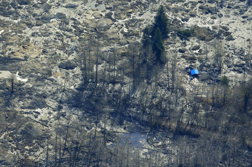 The blue-tarped roof of a house destroyed by the massive mudslide that killed at least eight people Saturday and left dozens missing is visible at right in this aerial photo, Monday, March 24, 2014, near Arlington, Wash. The search for survivors grew Monday, raising fears that the death toll could climb far beyond the eight confirmed fatalities. (AP Photo / Ted S. Warren)

