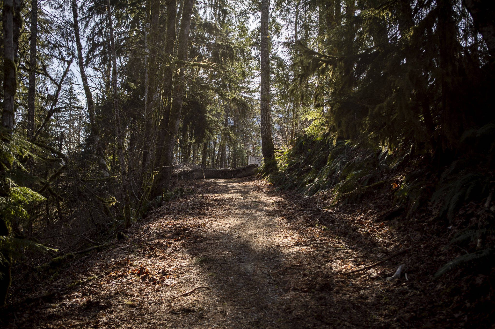 A site of a future park near the corner of Alvord Street and Petty Avenue on Thursday, March 7, 2024, in Darrington, Washington. (Annie Barker / The Herald)