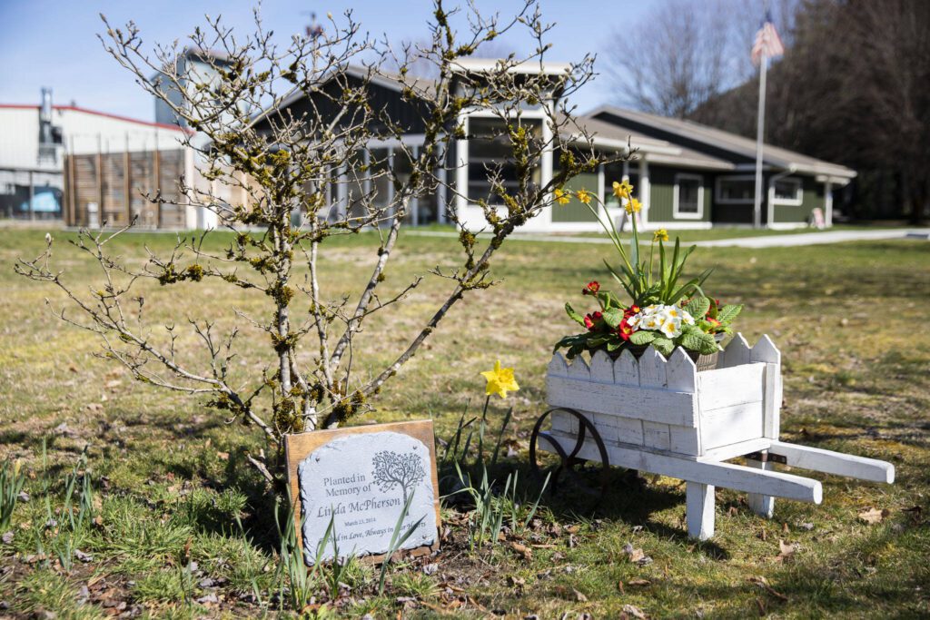 A memorial outside of the Darrington Library for McPherson on Monday, March 18, 2024 in Darrington, Washington. (Olivia Vanni / The Herald)
