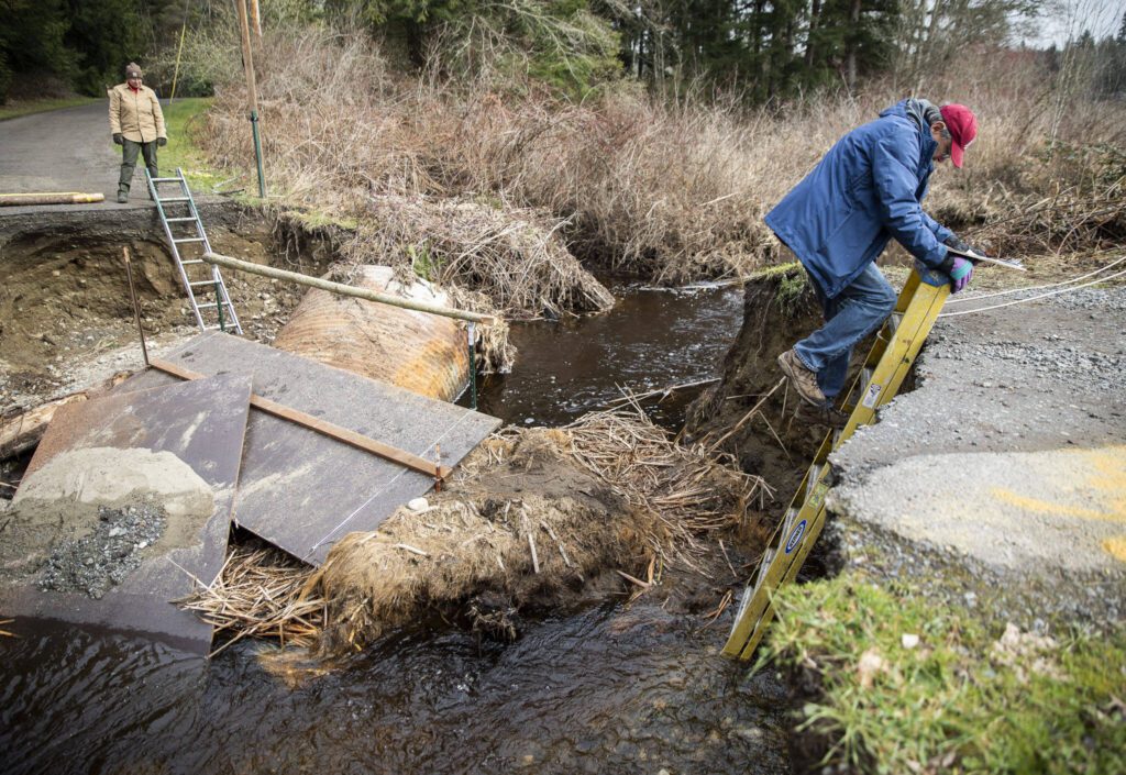 Ellyn Ritchotte, left, watches while Steve Hall, right, navigates his way down a ladder to cross a section of washed out road on Wednesday, March 6, 2024 in Marysville, Washington. (Olivia Vanni / The Herald)
