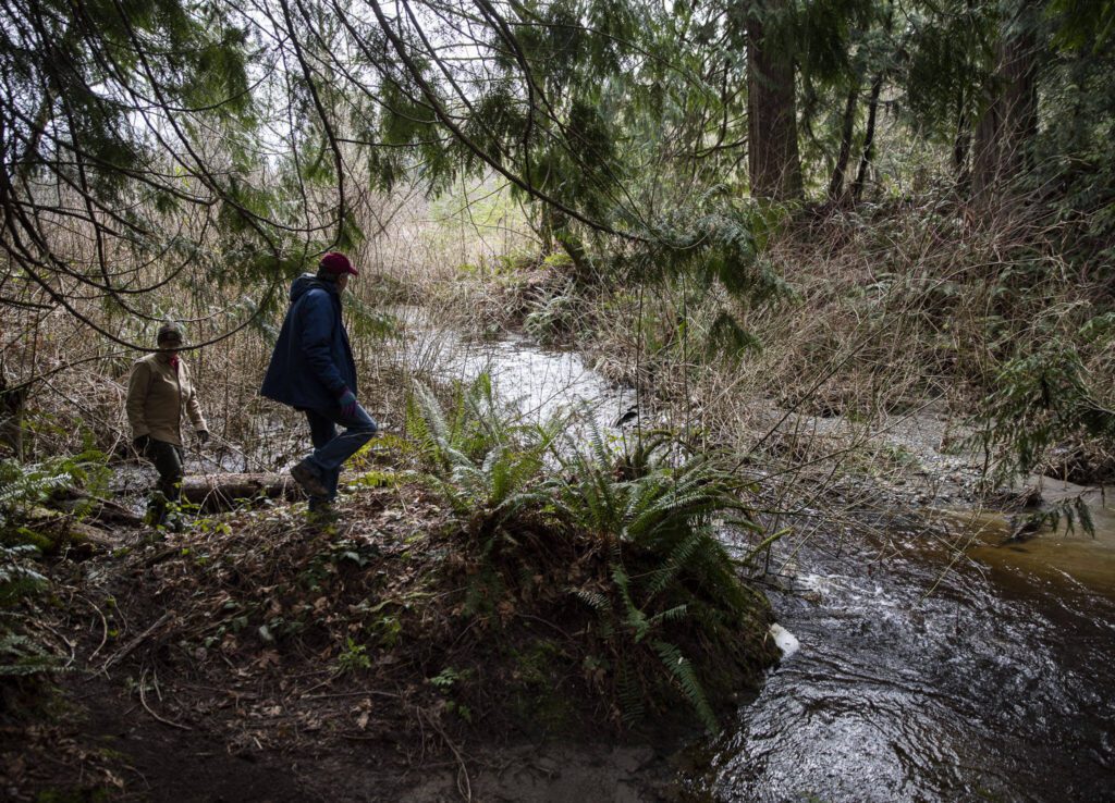 Ellyn Ritchotte, left, and Steve Hall, right, looks at the different debris littering the creek downstream of the washed out road on Wednesday, March 6, 2024 in Marysville, Washington. (Olivia Vanni / The Herald)
