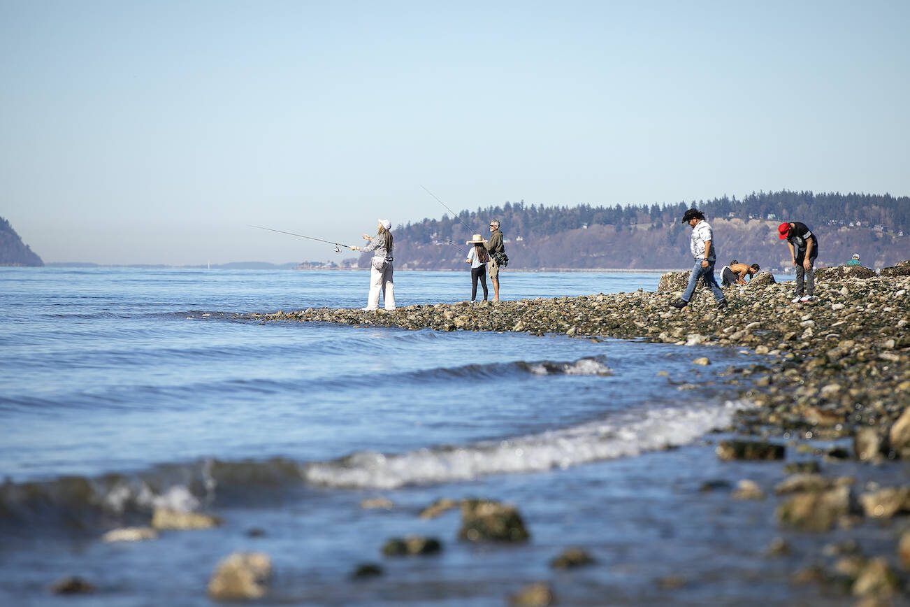 People head out to the water at low tide during an unseasonably warm day on Saturday, March 16, 2024, at Lighthouse Park in Mukilteo, Washington. (Ryan Berry / The Herald)