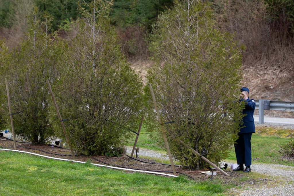 A person hangs a yellow ribbon from one of the trees planted outside of the Oso Landslide Memorial during the ten-year remembrance of the slide on Friday, March 22, 2024, in Oso, Washington. (Ryan Berry / The Herald)
