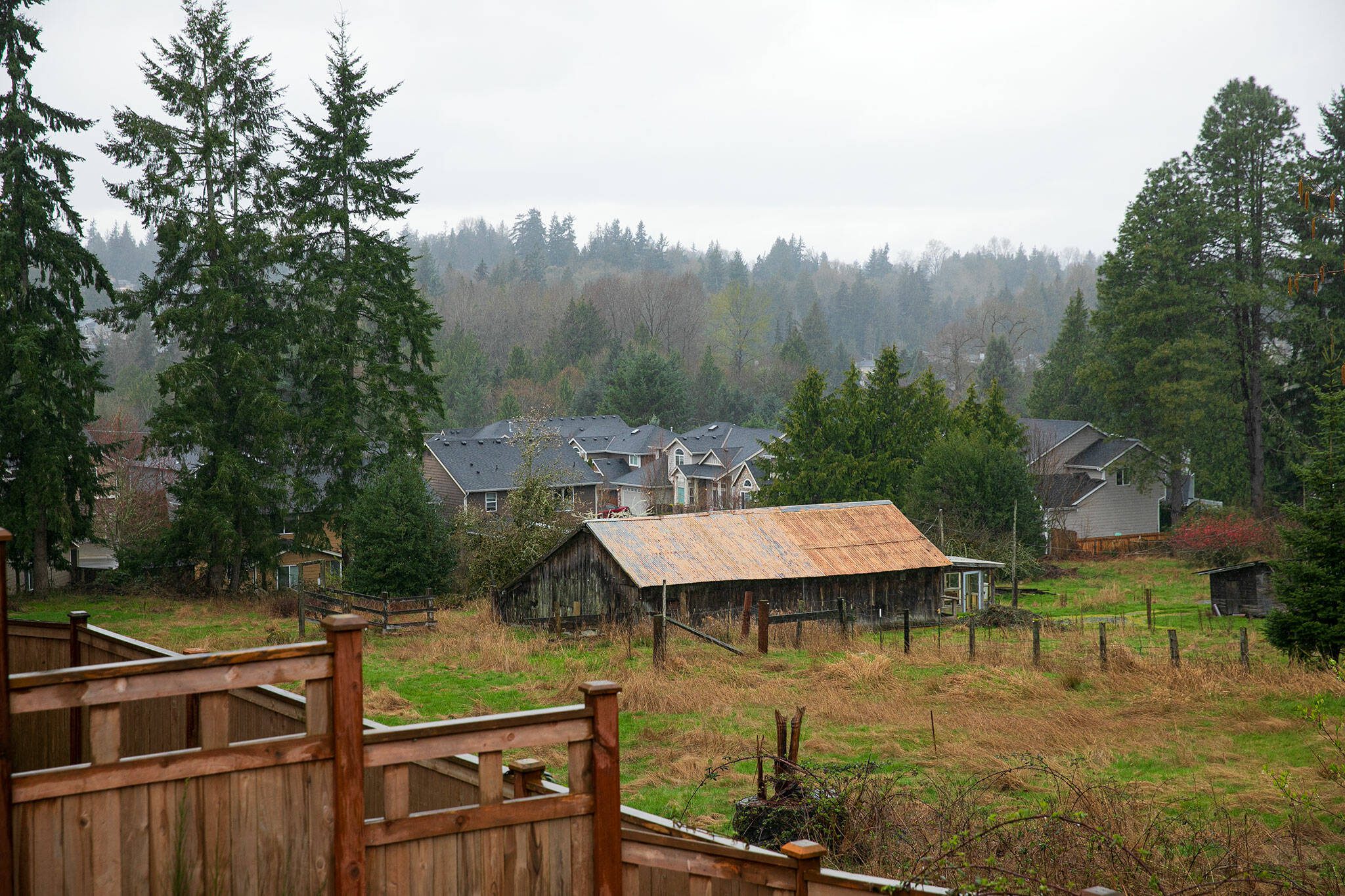 A parcel of land up for potential rezoning, seen here from the Hillside Vista luxury development, is surrounded on two sides by modern neighborhoods Monday, March 25, 2024, in Lake Stevens, Washington. (Ryan Berry / The Herald)