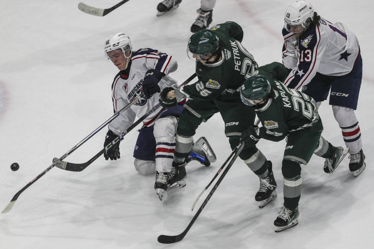 Silvertips’ Andrew Petruk (26) fights for the puck during a game between the Everett Silvertips and the Tri-City Americans at the Angel of the Winds Arena on Sunday, March 24, 2024 in Everett, Washington. (Annie Barker / The Herald)