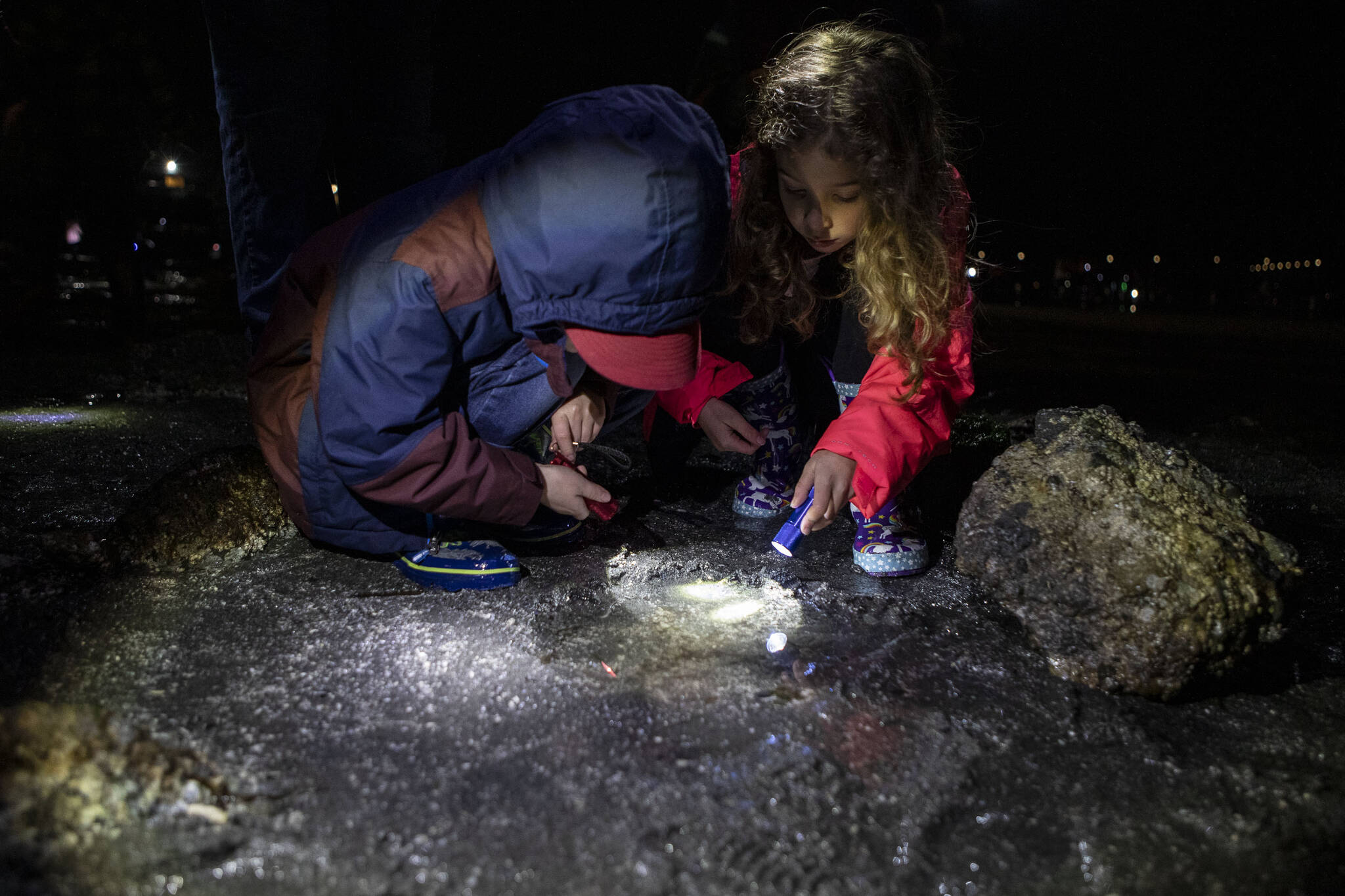 Gordon Mawson, 5, left and Lenora Mawson, 7, right, look for ocean creatures during the Starlight Beach Walk on Tuesday, Feb. 6, 2024 near the Olympic Beach Visitor Station in Edmonds, Washington. (Annie Barker / The Herald)