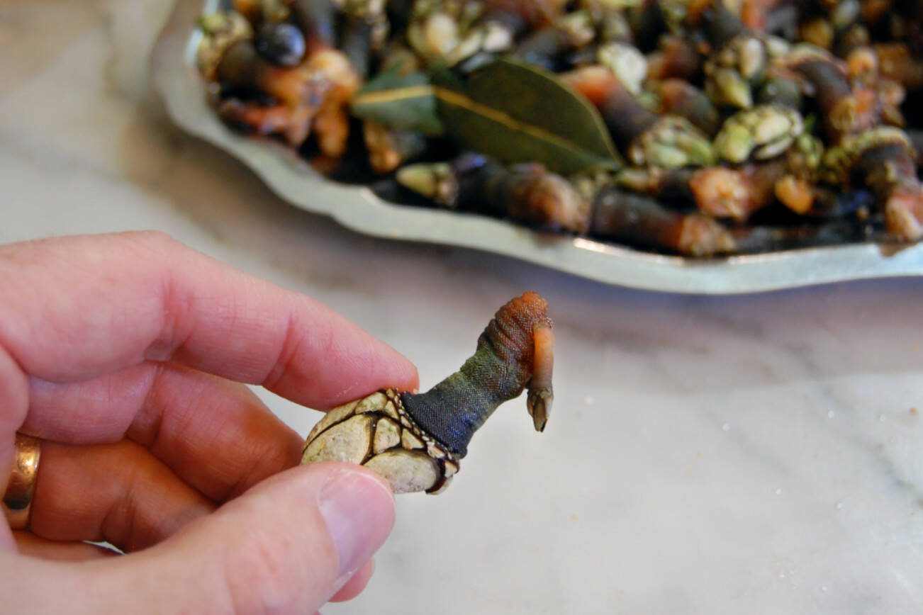 Tiny percebes – barnacles – are a local specialty in northwest Spain. (Rick Steves)