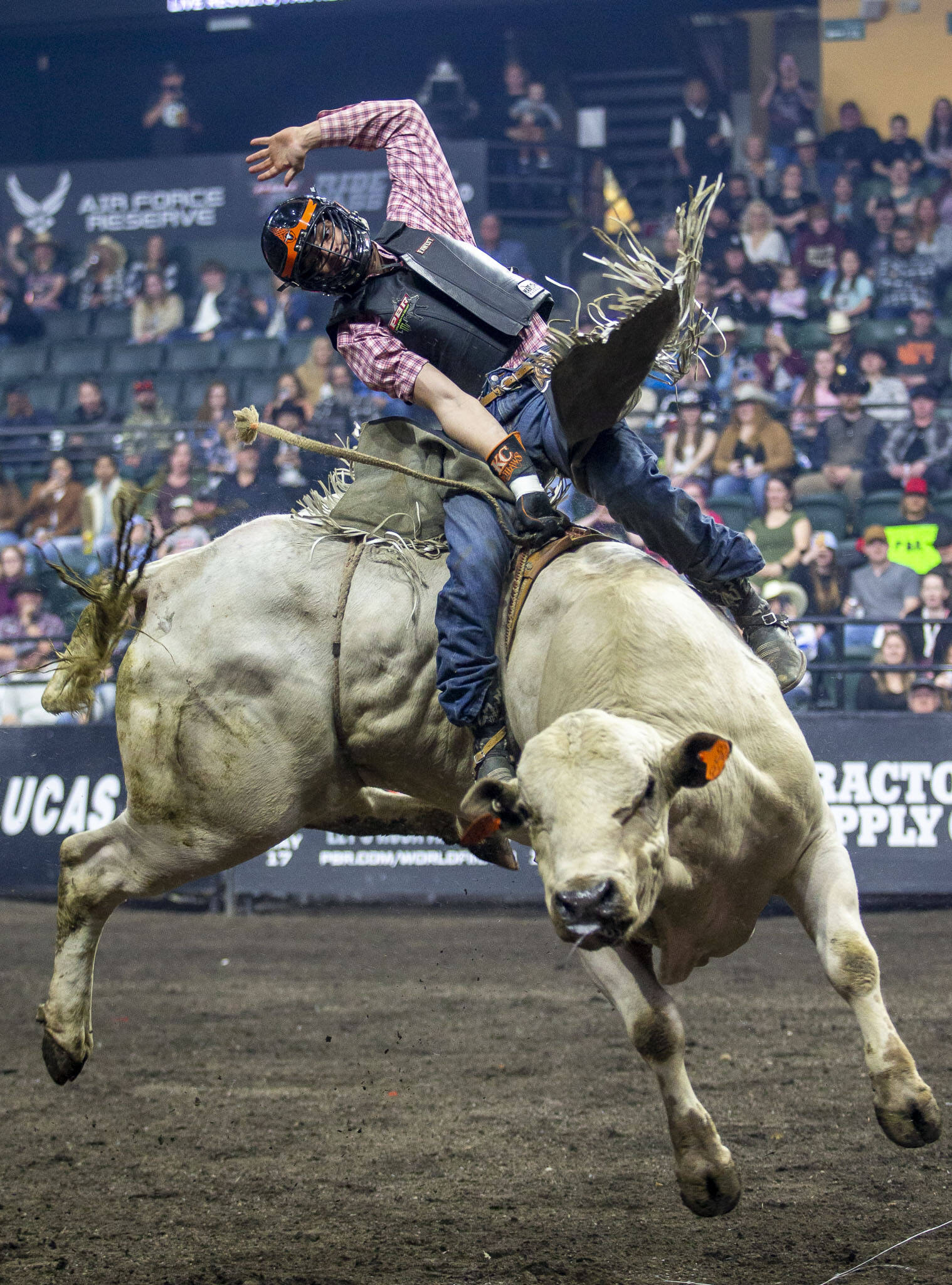 Leonardo Castro moves with the bull Sweatlodge Testified during PBR Everett at Angel of the Winds Arena on Wednesday, April 17, 2024 in Everett, Washington. (Olivia Vanni / The Herald)