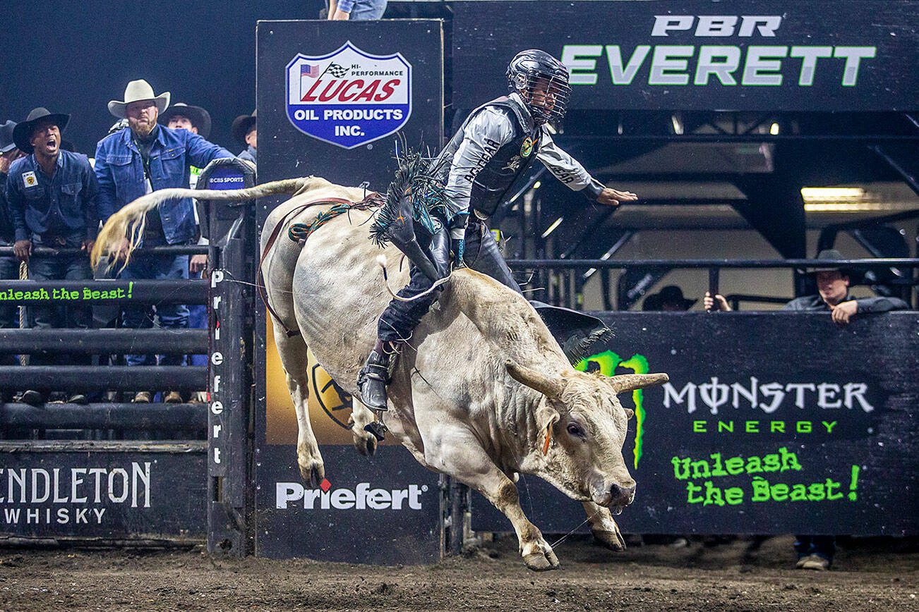 Keyshawn Whitehorse moves with the bull Tijuana Two-Step to stay on during PBR Everett at Angel of the Winds Arena on Wednesday, April 17, 2024 in Everett, Washington. (Olivia Vanni / The Herald)