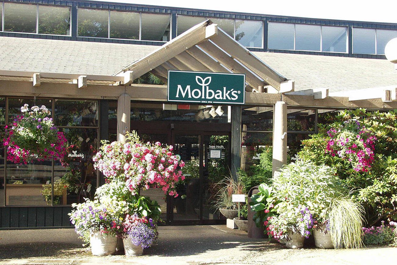 Molbak's Garden + Home in Woodinville, Washington closed on Jan. 28 2024. (Photo courtesy of Molbak's)